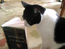 Literary cat reads second book